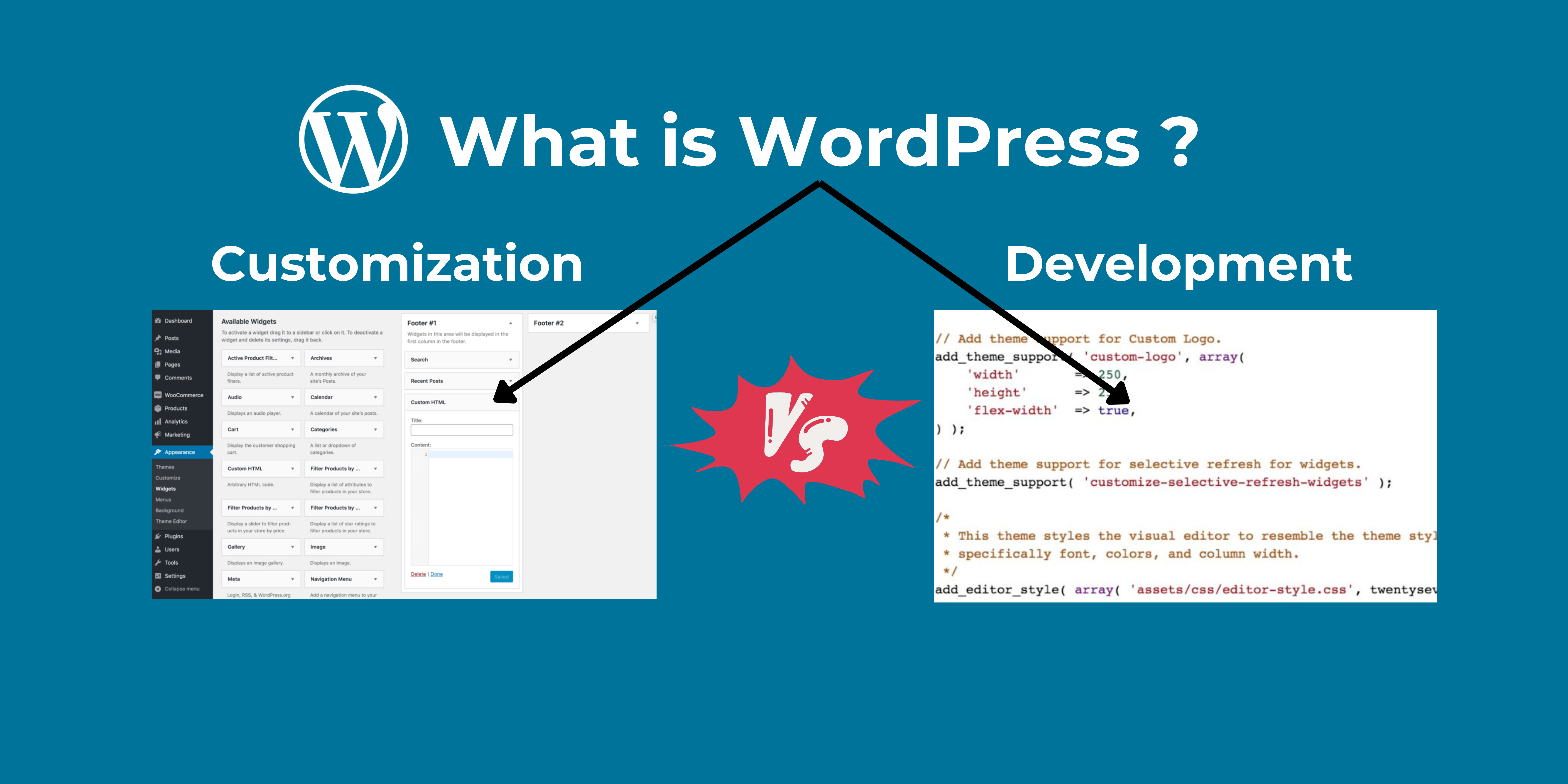What is WordPress ? Customization VS Development